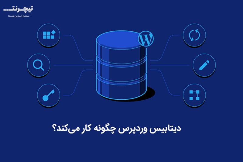 دیتابیس وردپرس چیست و چگونه کار می کند؟
